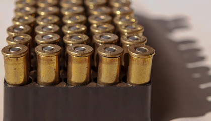 Centerfire .44 magnum bullets lined up in their case casting a shadow onto the table to the side of them.