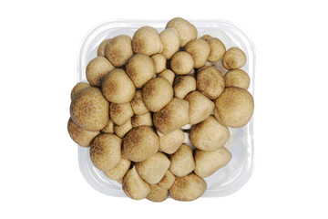 Top View of Brown Beech, Shimeji Mushroom in Clear Plastic Container Isolated on White Background