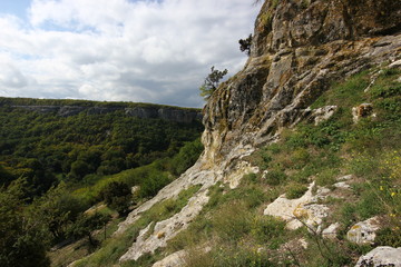 forests on the slopes of the Crimean mountains