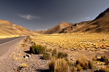 Fototapeta na wymiar Desert beauty with gestural mountain background #2