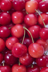 たくさんのさくらんぼ
