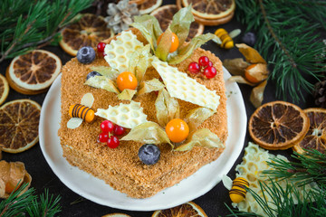 Home made honey cake, Top view on dark background