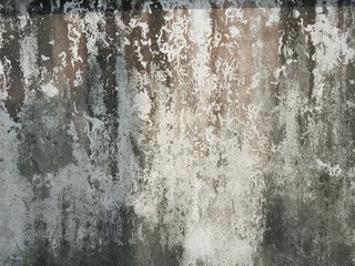old wall 02