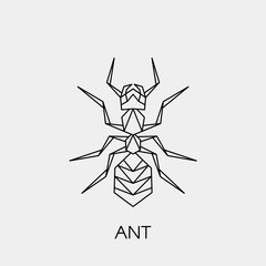 Geometric ant. Polygonal linear abstract insect. Vector illustration