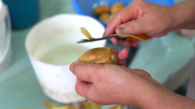 An Asian fruit worker lady cut fresh ciku in the fruit stall in Kuala Lumpur. Malaysia