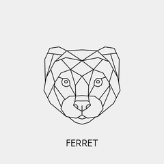 Geometric ferret. Polygonal linear polecat head. Vector illustration.