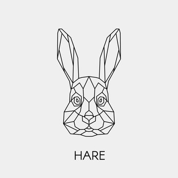 Geometric rabbit. Polygonal linear hare head. Vector illustration.