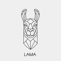 Geometric lama. Polygonal linear animal head. Vector illustration.