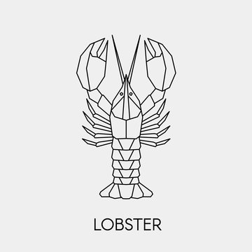 Geometric lobster. Polygonal linear abstract sea animal. Vector illustration.