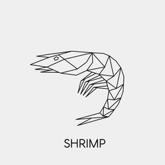 Geometric shrimp. Polygonal linear abstract sea animal. Vector illustration.