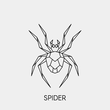 Geometric spider. Polygonal linear abstract insect. Vector illustration.