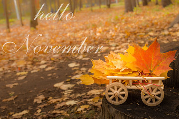 Hello November greeting card. Autumn maple leaves.