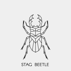 Geometric stag beetle. Polygonal linear abstract bug. Vector illustration.