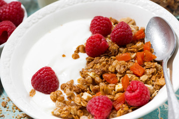 granola with dried apricots, raspberries and yogurt for breakfast, closeup