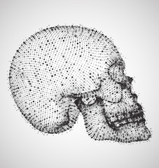 vector human skull. volume of points and polygons. the concept of death and horror. holiday of the day of the dead
