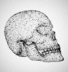 vector human skull. volume of points and polygons. the concept of death and horror. holiday of the day of the dead