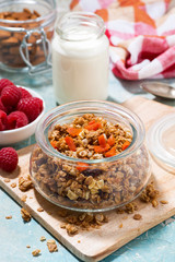 homemade granola with dried apricots and nuts, vertical