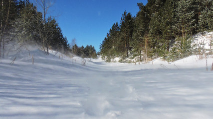 Fototapeta na wymiar Ural winter