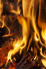 Fire, flames on a black background.