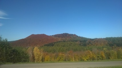 Obraz premium lasy, jesień,bieszczady,góry,bory,