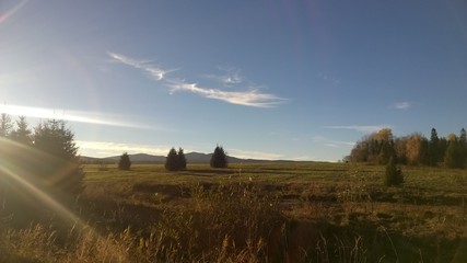 Obraz premium lasy, jesień,bieszczady,góry,bory,