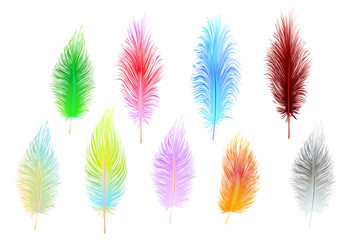 set of multi-colored vector feathers isolated