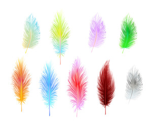 set of multi-colored vector feathers isolated
