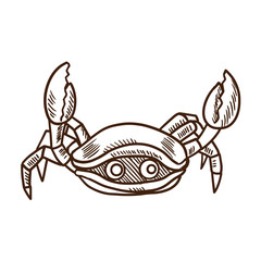 Cute cartoon animals concept. Sea cute and funny crab.