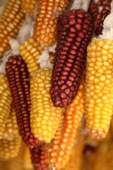 old stone mill still produces flour