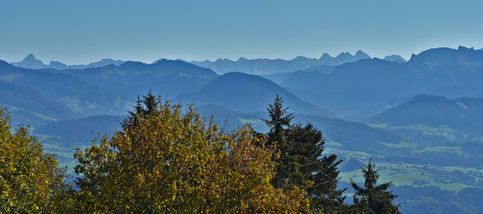 Blick vom Pfänder zu den Allgäuer Alpen im morgendlichen Gegenlicht