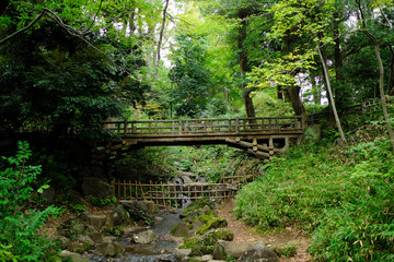 森林の中の橋