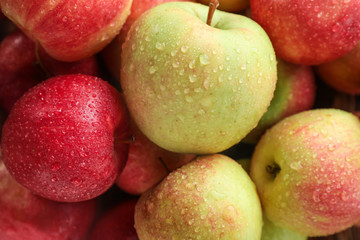 Many ripe juicy apples with water drops