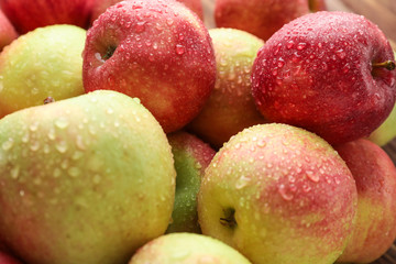 Many ripe juicy apples with water drops
