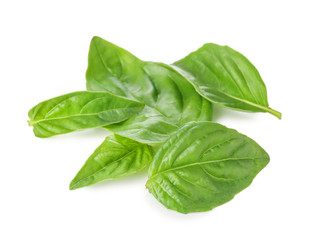 Fresh green basil on white background