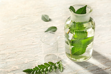 Bottle with plant on light table