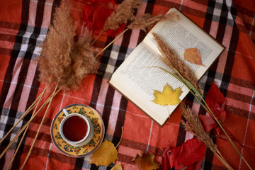  A cup of hot tea, an open book, a yellow leaf, on a checkered orange rug. Horisontal orientation. Autumn Fletley.