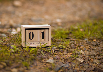 November 1st. Day 1 of November set on wooden calendar on wooden plank background. Autumn time 