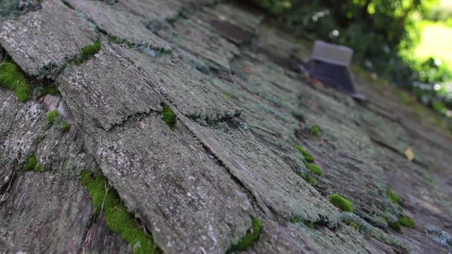 Close up of old hobbit type roof.mov