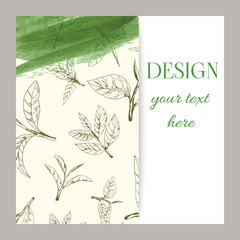 vector green tea leaves and branches, hand-drawn - 228260396