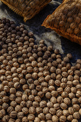 Echte Walnuss, Juglans regia