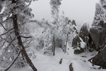 Hike in the mountains with snow drift
