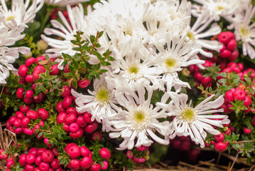 Fototapeta premium autumn bouquet with asters. selective focus. 