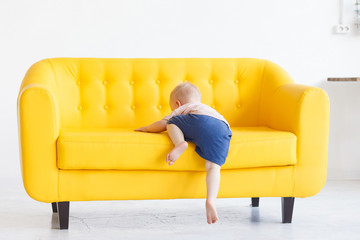 First steps of child. Cute little baby boy tries to get on yellow sofa without help of his parents. Child's growth, first physical achievements of kid, child's victory over obstacle, back view