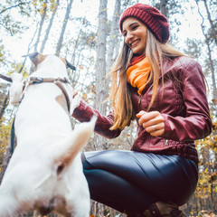 Woman and her dog in playful mood having fun in fall forest