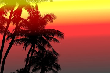 Fototapeta na wymiar Silhouette of coconut tree on sunset colorful light background with copy space on the right.