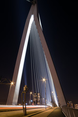 Fototapeta premium Illuminated Erasmus bridge in Rotterdam, Netherlands