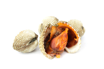 fresh cockles seafood isolate on white background
