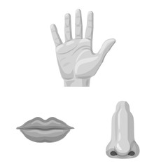 Vector illustration of human and part symbol. Set of human and woman stock vector illustration.