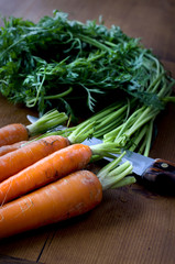 Fresh carrot bunch on a wooden board