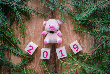 New year picture 2019 new year and toy pig